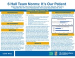 6 Hall Team Norms: It's Our Patient by Mallory Rittel, Markeyta Brown, Ron Chenoweth, Marcy Page, Chelsi Peterzalek, and Amanda Woldruff