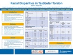 Racial Disparities in Testicular Torsion