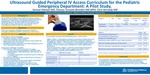 Ultrasound Guided Peripheral IV Access Curriculum for the Pediatric Emergency Department: A Pilot Study.