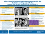 Wilms Tumor (WT) presenting with spontaneous necrosis and Clostridium perfringens co-infection