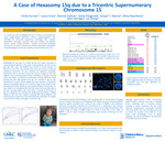 A Case of Hexasomy 15q due to a Tricentric Supernumerary Chromosome 15 by Emily Farrow, Laura A. Cross, Bonnie Sullivan, Keely M. Fitzgerald, Joseph Alaimo, Elena Repnikova, John Herriges, and Lei Zhang