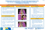 Double Aortic Arch with Atresia of the Left Aortic Arch Proximal to the Left Common Carotid Artery in a Patient with PHACE Syndrome – A Management Conundrum
