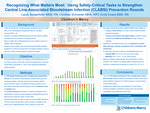 Recognizing What Matters Most: Using Safety-Critical Tasks to Strengthen Central Line-Associated Bloodstream Infection (CLABSI) Prevention Rounds