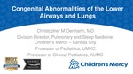 Congenital Abnormalities of the Lower Airways and Lungs
