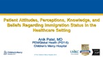Patient Attitudes, Perceptions, Knowledge, and Beliefs Regarding Immigration Status in the Healthcare Setting