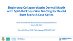 Single-step Collagen-elastin Dermal Matrix with Split-thickness Skin Grafting for Keloid Burn Scars: A Case Series