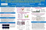 Delta Like 4 (DLL4), an Endothelial Specific NOTCH Ligand is Critical for Lung Vascular Arborization and Alveolarization by Sheng Xia, Heather Menden, Nicholas Townley MD, Sherry M. Mabry, Michael F. Nyp, Donald W. Thibeault, and Venkatesh Sampath