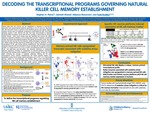 Decoding The Transcriptional Programs Governing Natural Killer Cell Memory Establishment by Stephen Pierce, Santosh Khanal, Rebecca McLennan, and Todd Bradley