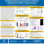Blocking Respiratory Syncytial Virus infection utilizing decoy cell surface receptor proteins by Eric S. Geanes, Rebecca McLennan, Oishi Paul, Santosh Khanal, and Todd Bradley