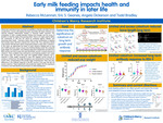 Early milk feeding impacts health and immunity in later life