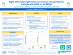 Right ventricular dysfunction is common among pediatric patients with acute respiratory distress syndrome on venovenous ecmo