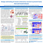 Design and testing of mosaic enterovirus vaccine to prevent hand, foot and mouth disease
