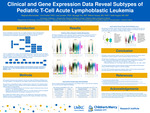 Clinical and gene expression data reveal subtypes of pediatric T-cell acute lymphoblastic leukemia