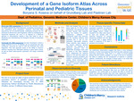 Development of an Isoform Atlas in Pediatric Patients with Rare Diseases using Iso-seq by Boryana Koseva